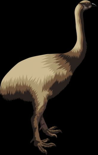 Kakapo Moa Transparent Background Clipart Full Size
