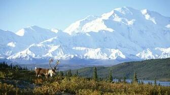 Alaska Wallpaper