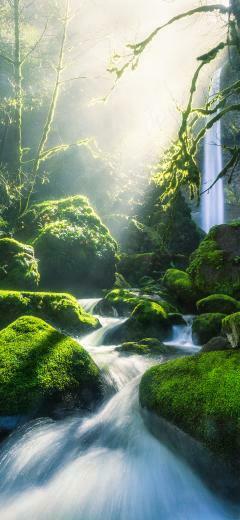 Top Nature iPhone Wallpaper HD Background
