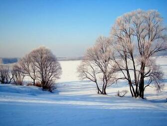 Winter Snow Scene Wallpaper Weddingdressin