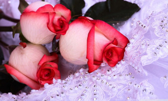 A Bouquet Of Red Roses Is Sitting On White Cloth Wallpaper