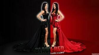 Pin Bella Twins HD Wallpaper Picture