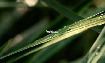 Hilariously Inappropriate Inspirational Wallpaper Weknowmemes