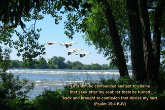 Wallpaper Photos Bible Inspiration Verses