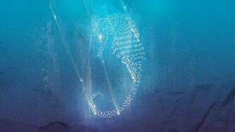 Abstract Typography Wallpaper Seahorse Digital Revolutions