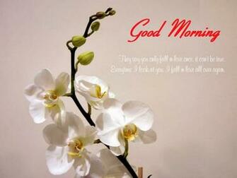 Good Morning Messages Cards Wishes Wallpaper Festival Chaska