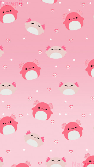 Archie Squishmallow Wallpaper By Nawnii