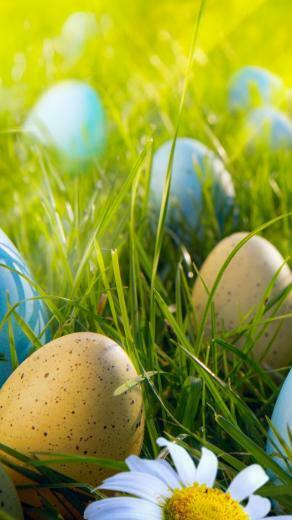 Easter Egg Hunt iPhone 5s Wallpaper iPad