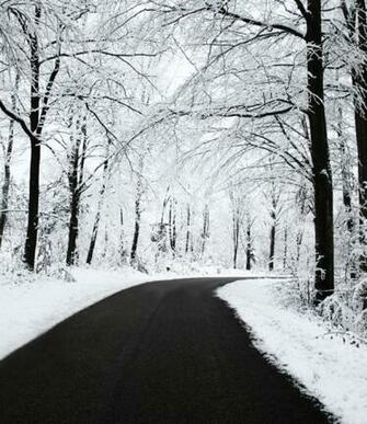 Beautiful Widescreen Wallpaper