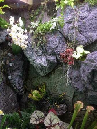 Paludarium Paradise Slimline And Modules Arstone Aquarium