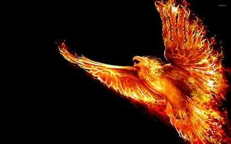 Phoenix Wallpaper Artistic
