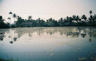 Kerala Wallpaper