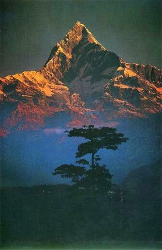 Some Nature Mobile Wallpaper