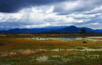 Windows Vista Desktop Wallpaper Pack