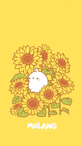 Molang Flower Wallpaper Discover The Sunflower Of