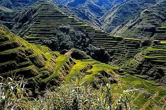Rice Terraces Philippines Wallpaper Full HD