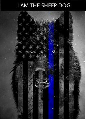 Apply Makeup Professionally Pdfhive Thin Blue Line
