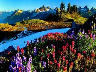 Beautiful Spring Scenery Wallpaper HD Desktop Background