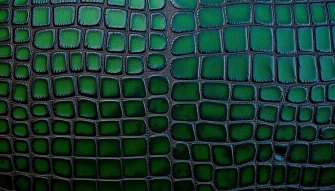 Alligator Skin Wallpaper