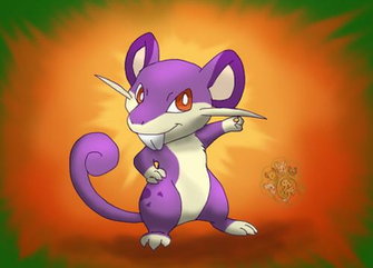 Rattata Wallpaper Pixshark Image Galleries