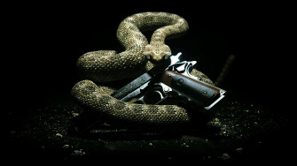 Hitman Absolution Wallpaper