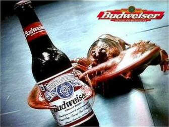 Budweiser Background Wallpaper For Desktop