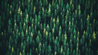 Trees Minimalism HD Artist 4k Wallpaper Image Photos