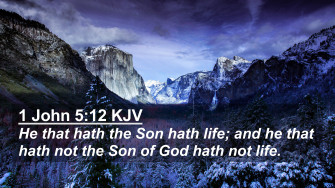 John Kjv 4k Wallpaper He That Hath The Son Life And