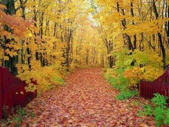 Autumn Season Wallpaper HD Beautiful