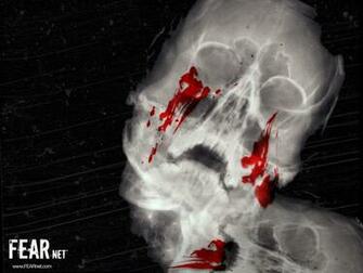 Skull Head HD Wallpaper Compilation Scary