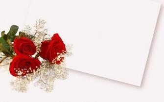 Red Rose Flower Background