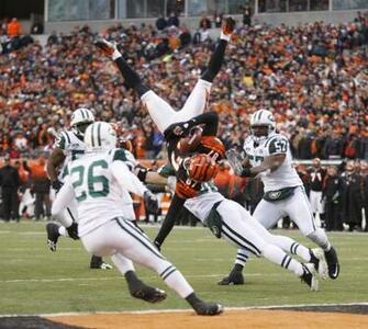 Cincinnati Bengals