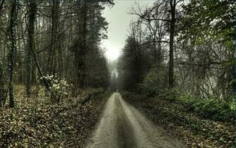 HD Widescreen Wallpaper Right Click The Select Set As