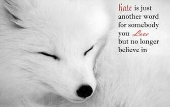 Arctic Fox Computer Wallpaper Desktop Background Id