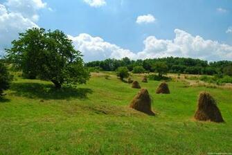 Summer Scenes Wallpaper Original Updated