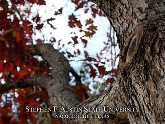 Give To Sfa Wallpaper