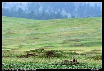 Home Us National Parks Rockies And Prairie Wind Cave Wica8664