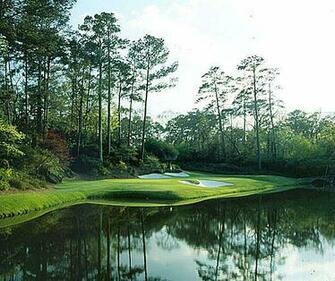 The Masters Golf Performance Coaches