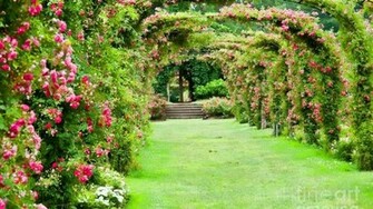 Rose Garden Wallpaper HD Pw