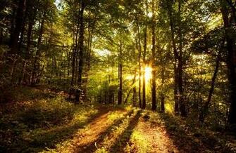 Best Nature Wide Screen Full HD Wallpaper