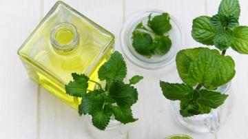 Medicinal Herbs Ultra HD Desktop Background Wallpaper For 4k UHD