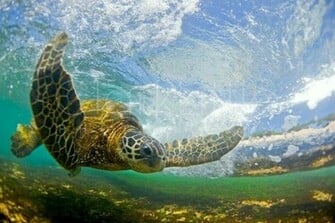 Cool Wave Photography By Clark Little Photoweeklyonline