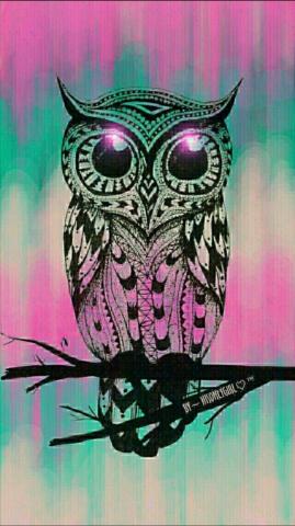 Cartoon Owl Wallpaper Top Background