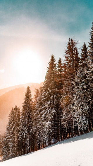 Gorgeous Winter Wallpaper For iPhone
