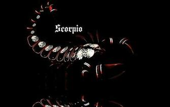 Scorpio Creative Picture Wallpaper And Image Pictures