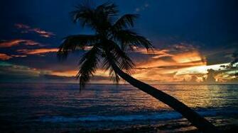 World Best Nature Photography Wallpaper Pic Photosjunction