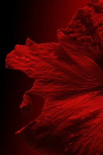 Red And Black Wallpaper Widescreen