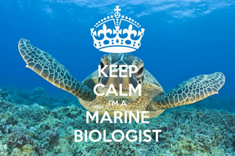 Marine Biology Wallpaper