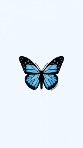 Light Blue Butterfly Wallpaper