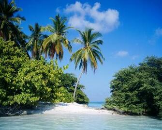 Tropical Island Paradise Wallpaper